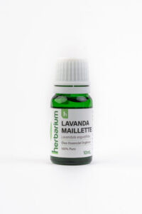 Lavanda Maillete