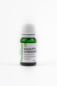 Eucalipto Citriodora