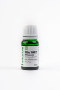 Tea Tree