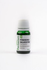 Pinheiro Silvestre