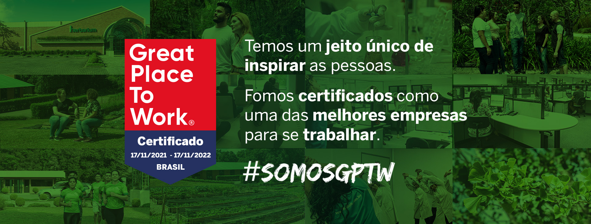 Herbarium Laboratório Botânico