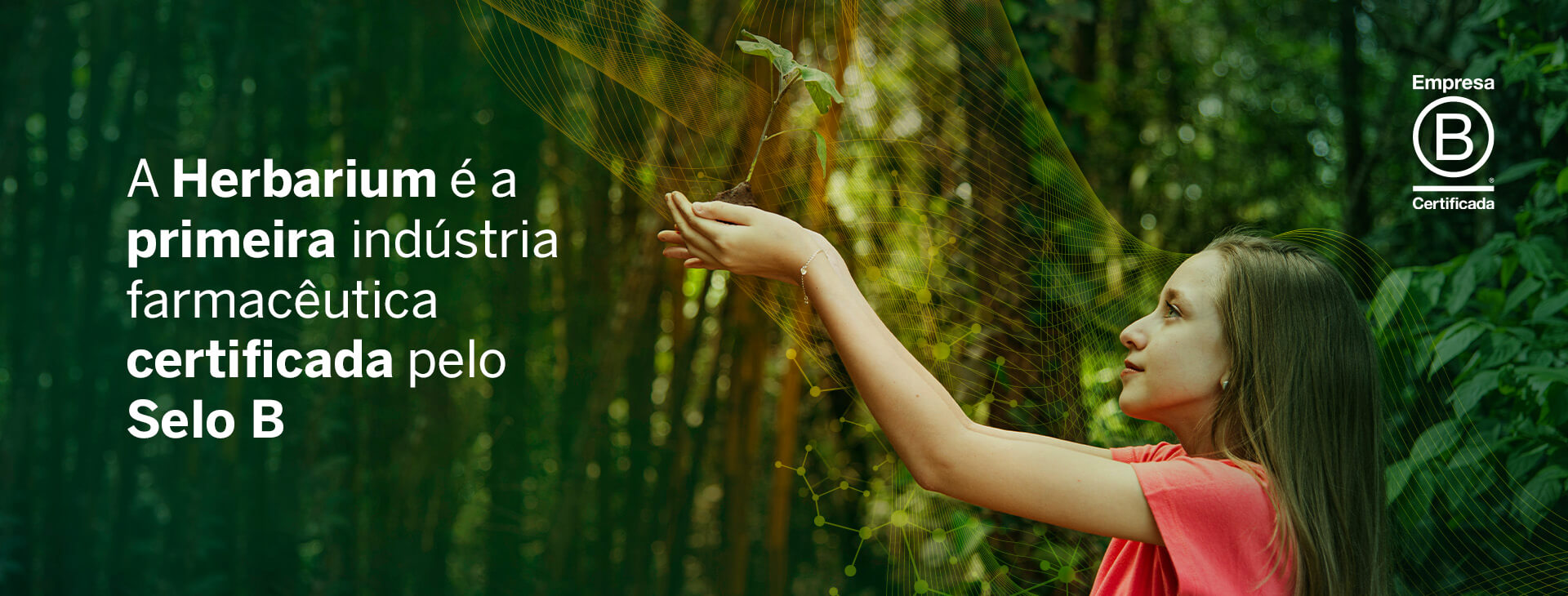 Herbarium Laboratório Botânico