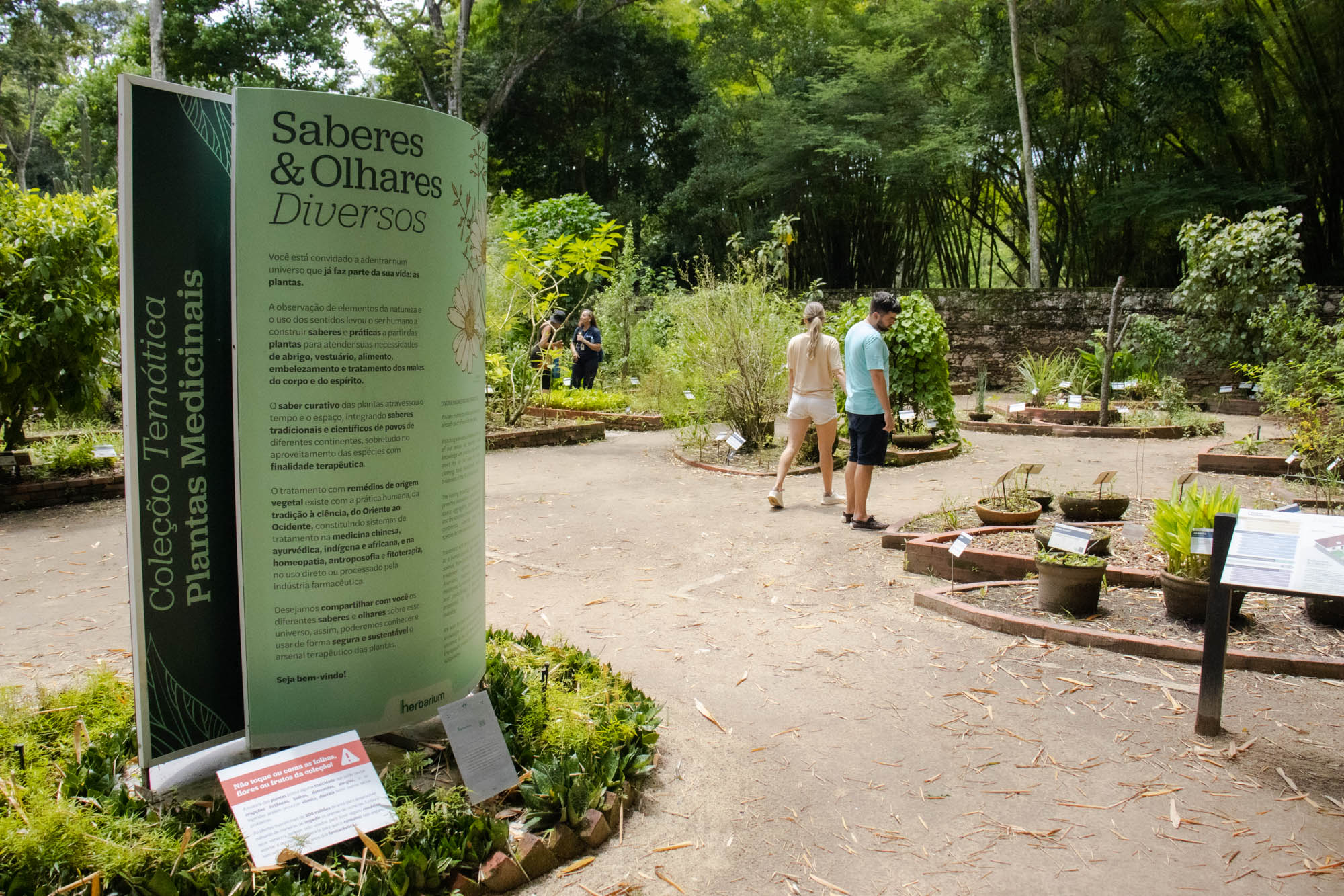 Herbarium revitaliza espaço dedicado às Plantas Medicinais do Jardim