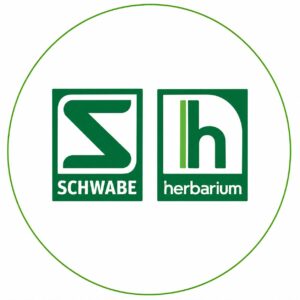 Herbarium 2024